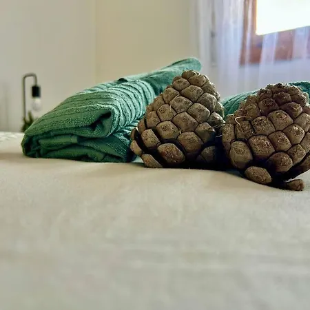 Casa Rural, “el Andador” Ferienhaus El Hoyo de Pinares