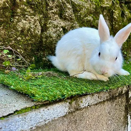 Casa Rural, “el Andador”