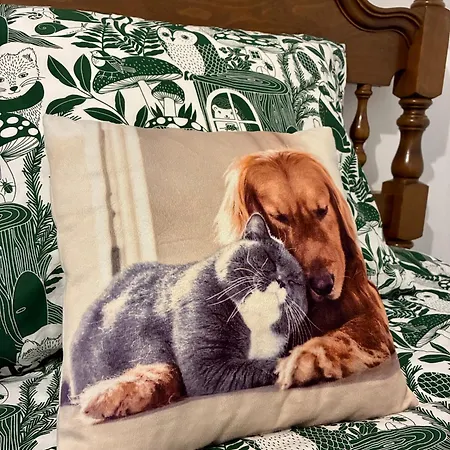 Casa Rural, “el Andador” * El Hoyo de Pinares