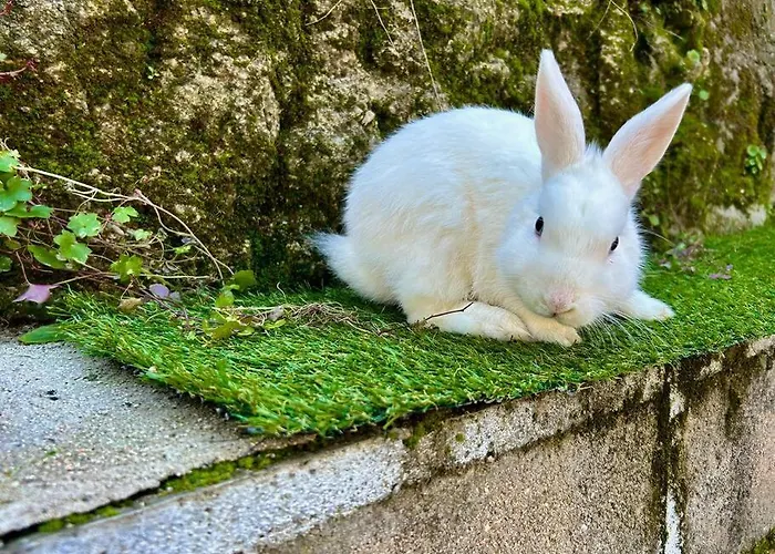 Casa Rural, “el Andador”