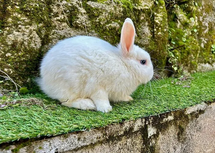 Casa Rural, “el Andador”