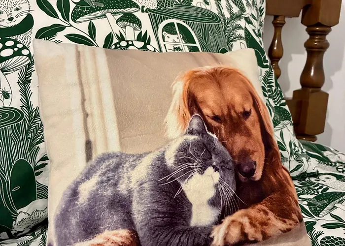 Casa Rural, “el Andador” * El Hoyo de Pinares